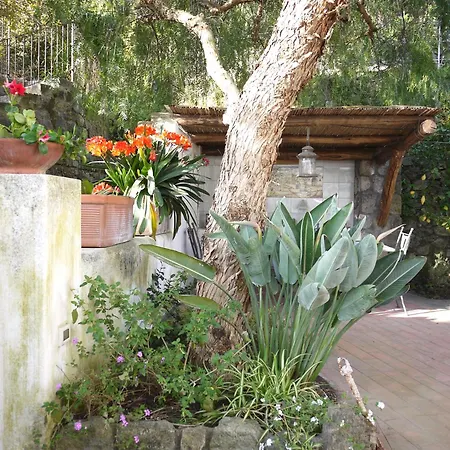Panoramic In The Nature Of Holiday home *