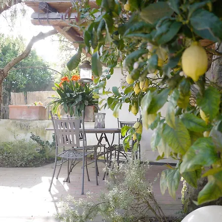 Holiday home Panoramic In The Nature Of Ischia